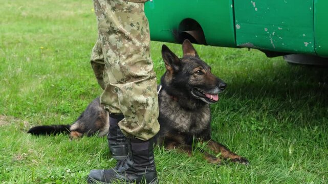Military dog relaxing beside a soldier near a vehicle in slow motion. Captures bond and loyalty between handler and canine partner in a grassy field setting