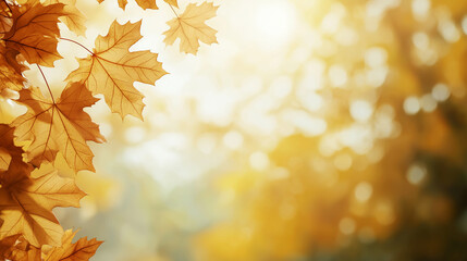 Golden leaves dangle delicately from branches, illuminated by soft sunlight, creating a calm atmosphere ideal for contemplation in autumn, copy space