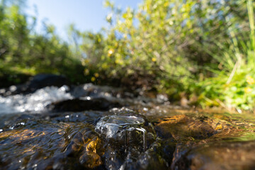 Steel mug in the creek