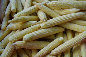 Babycorn.