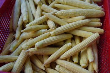 Babycorn.