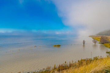 Late Autumn colours at Lake George with fog