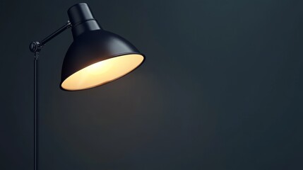A stylish black lamp with a warm glow, perfect for enhancing any modern interior or workspace ambiance.