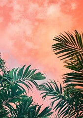 Naklejka premium Palm Tree Leaves Against Sunset Sky
