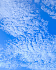 Obraz premium Ecos en el cielo