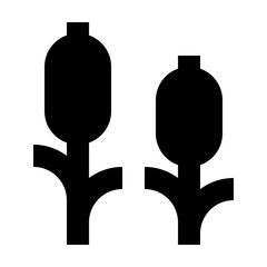 reeds solid icon