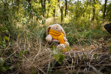 The plush bunny went on a hike in the autumn forest
