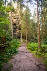 Hiking Trail through Saxon Switzerland National Park, or Nationalpark Sächsische Schweiz