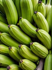 bunch of unripe bananas
