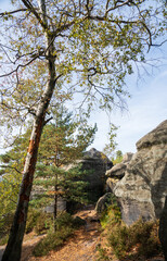 Rugged Rock Outcrops at an Overlook in Saxon Switzerland National Park, Nationalpark Sächsische Schweiz