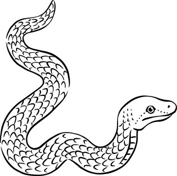 recommend clip art: 年賀素材_手描きの筆タッチの蛇のイラスト