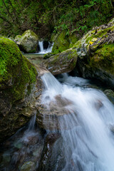 Fototapeta premium A small stream covered in moss in the mountains
