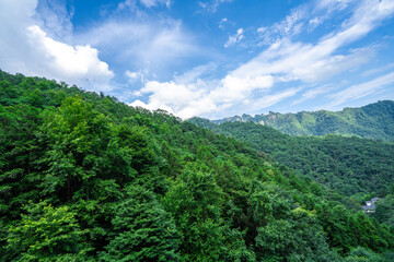 Misty rock pillars and mountain landscape in Zhangjiajie, Hunan Province, China