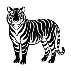 tiger illustration