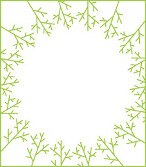 Background - a frame of young dill. Fresh greens.