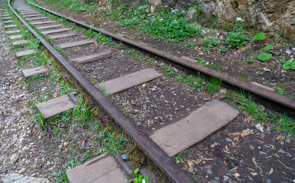 Railroad Tracks, Forest, Peru - Narrow Gauge Rails for Train Transportation in Lush Green Landscape