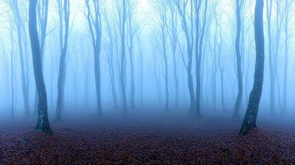 Enchanted Misty Woods, a haunting panorama of fog-laden trees shrouded in mystery, where eerie beauty meets the chill of a cold morning, evoking a fairy tale atmosphere.