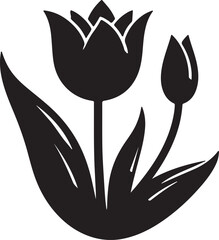 Obraz premium black and white tulip