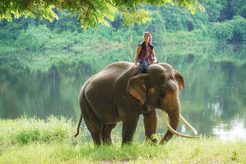 A young male mahout, dressed in traditional hill tribe attire, sits comfortably on his elephant's...