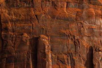 Close-up of textured red sandstone wall showing natural erosion.