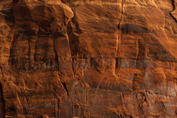 Detailed close-up of weathered red sandstone wall with rich textures.