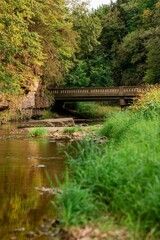 Fototapeta premium Bridge Over Peaceful Autumn Stream