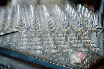 Sparkling wine glasses neatly arranged on a buffet table for an event.