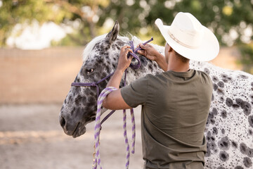 Man putting a rope on a horse