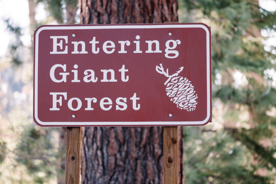 Entering Giant Forest sign welcoming visitors in Sequoia national park