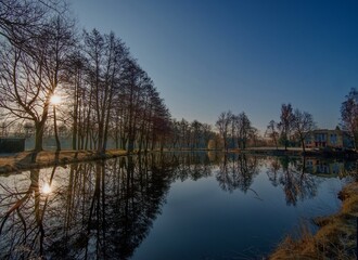 reflection of trees in the water