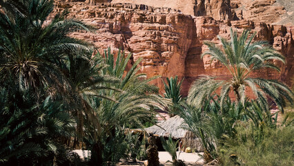 dwelling bedouin in an oasis in the desert among the mountains in Egypt Dahab South Sinai