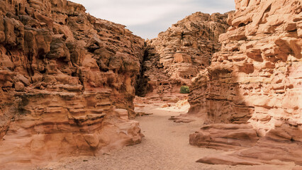 colored canyon with green plants in Egypt Dahab South Sinai