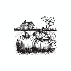 pumpkins farm vector, pumpkins farm logo