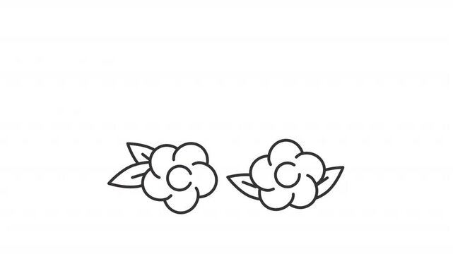 Cross pollination line animation. Apiculture animated icon. Flying honeybee. Moving flower, apiary. Black illustration on white background. HD video with alpha channel. Motion graphic