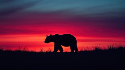 Silhouette of bear at dusk with colorful sky