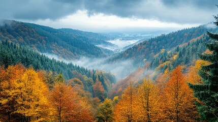 A scenic view of the Ardennes forest with vibrant autumn colors and misty mountains in Belgium.