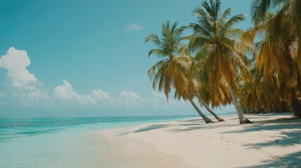 Obraz premium A serene beach on a tropical island in the Maldives, with palm trees swaying in the breeze.