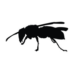 Honey Bee silhouette, Illustration of Bee Silhouette Art