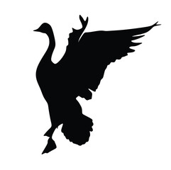 Silhouette of a bird in flight