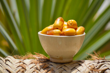 close up of sweet fruits fresh dates in white bowl, Ramadan food nature palm leaf green background