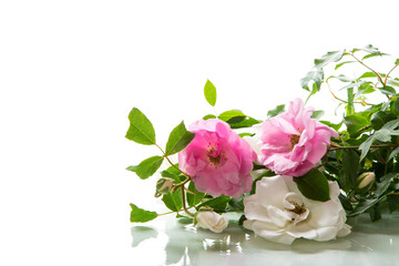 wooden light background with white and pink roses