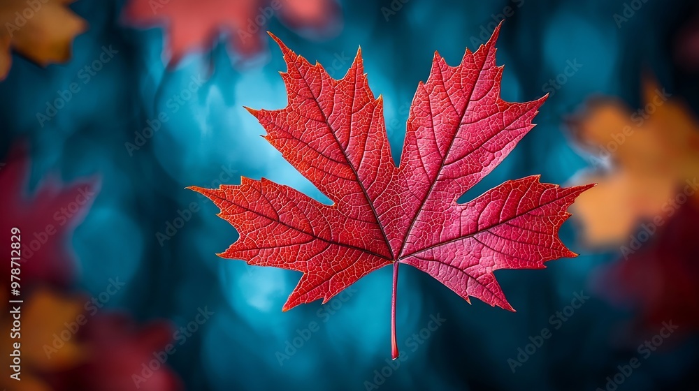 Poster maple leaves background : generative ai