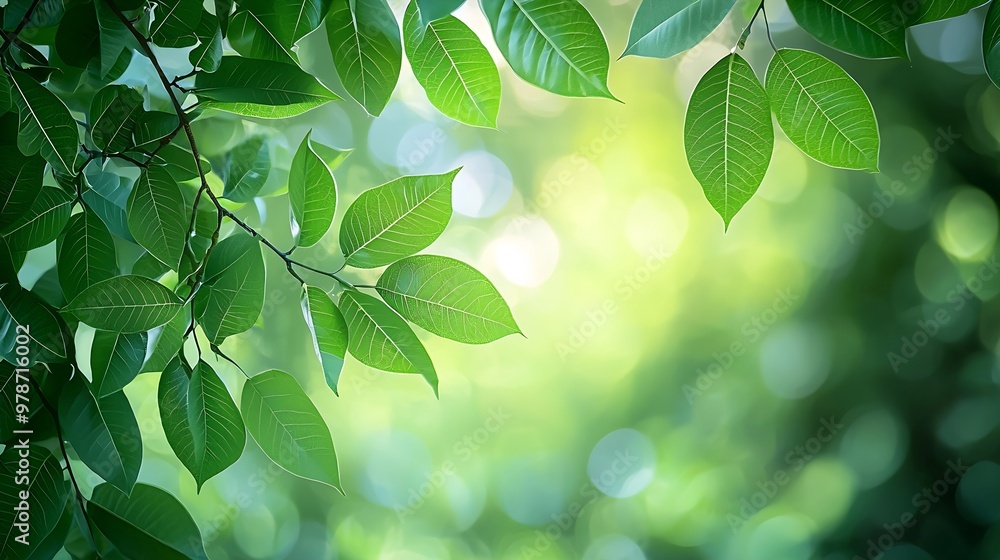Poster smooth nature bokeh : generative ai