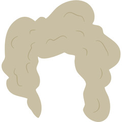 Clown Wig Vector