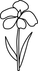 line art iris minimal doodle hand drawn cute botanical and animal objects. Simple modern Spring garden vector elements illustration.