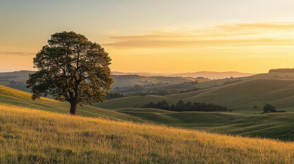 Fototapeta premium Serene landscape with rolling hills and a solitary tree under a golden sunset sky, showcasing a peaceful natural setting