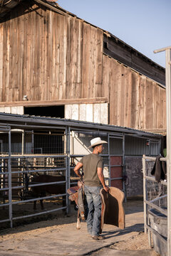 Man walking away while carrying saddle into barn