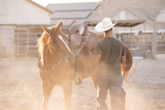 Man training a horse with dust kicking up