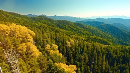 Obraz premium Autumn mountain scenery with colored leaves