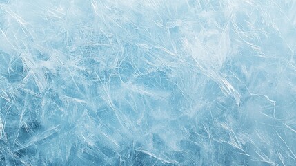 Obraz premium Delicate frost patterns glistening under soft winter light in serene frozen landscape